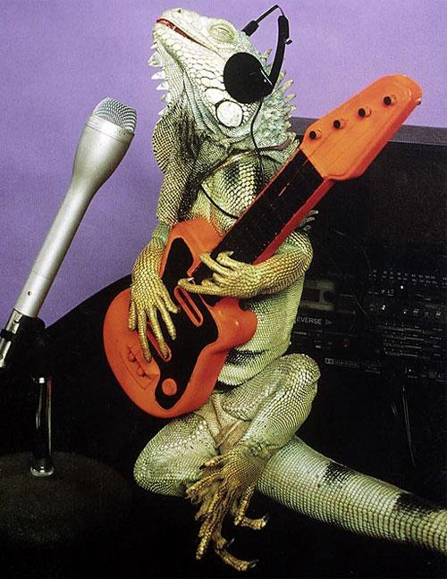 Гламурные ящерицы отдыхают в гамаке и играют на гитаре