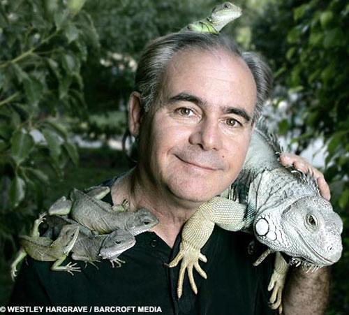 Гламурные ящерицы отдыхают в гамаке и играют на гитаре