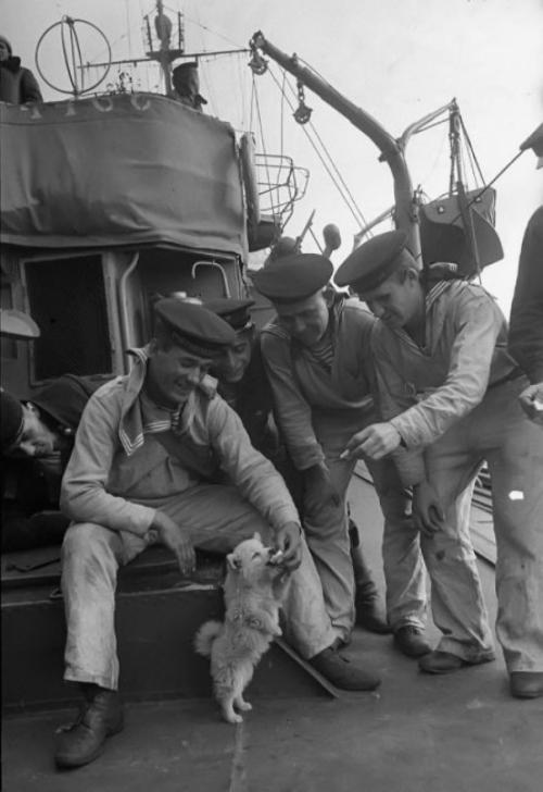 Самые известные и интересные фотографии, сделанные случайно