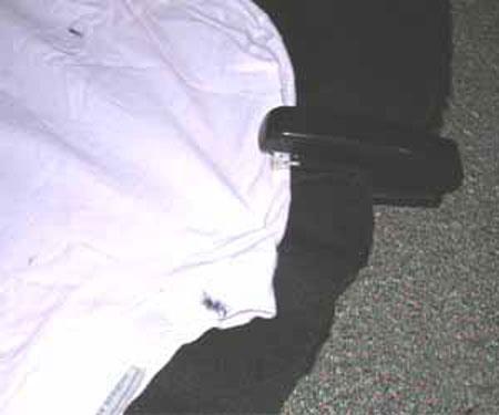 Как из добермана сделать пуделя