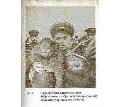 Фотомонтаж, как инструмент политической пропаганды