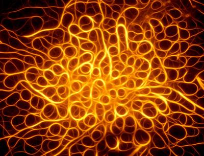 Шедевры микрофотографии