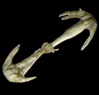 Шедевры микрофотографии