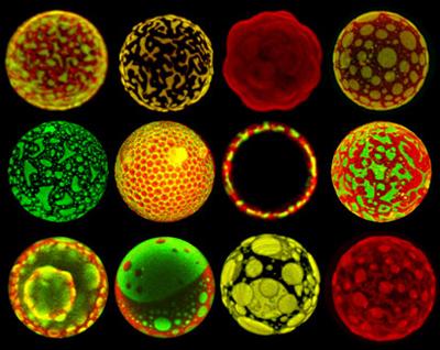 Шедевры микрофотографии