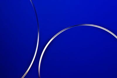 Шедевры микрофотографии