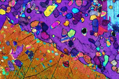 Шедевры микрофотографии