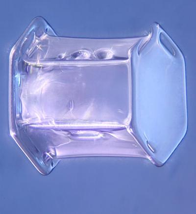 Шедевры микрофотографии