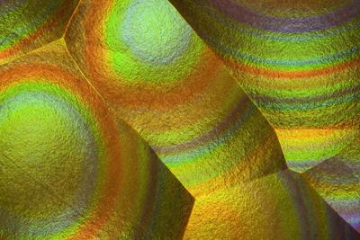 Шедевры микрофотографии