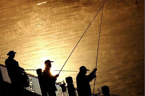 Лучшие фотографии 2007 года глазами блоггеров: часть 2