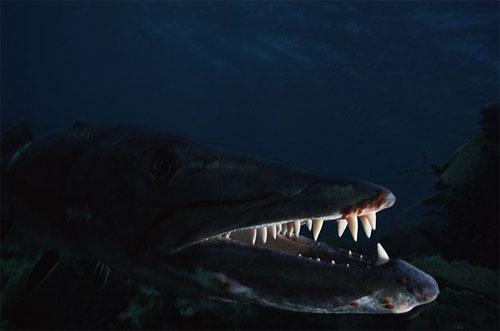 Лучшие фотографии 2007 года глазами блоггеров: часть 2