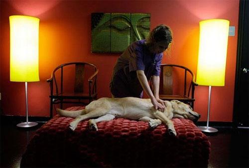 Лучшие фотографии 2007 года глазами блоггеров: часть 2