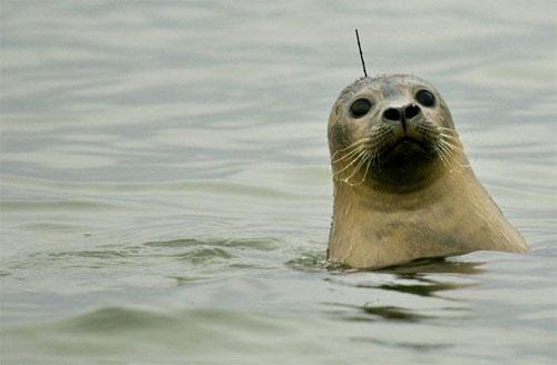 Лучшие фотографии 2007 года глазами блоггеров: часть 2