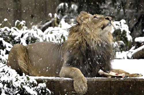 Лучшие фотографии 2007 года глазами блоггеров: часть 2