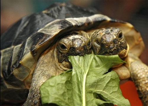 Лучшие фотографии 2007 года глазами блоггеров: часть 2