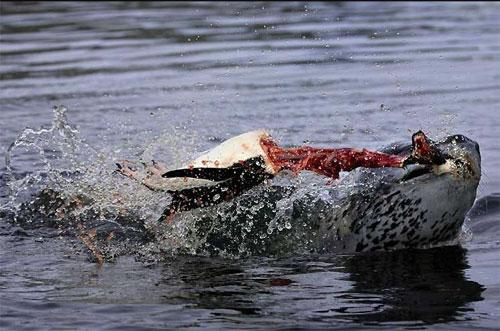 Лучшие фотографии 2007 года глазами блоггеров: часть 2