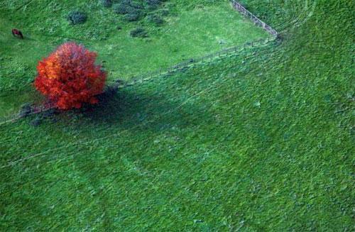Лучшие фотографии 2007 года глазами блоггеров: часть 2
