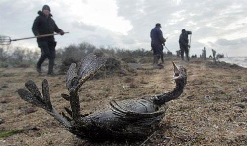 Лучшие фотографии 2007 года глазами блоггеров: часть 2