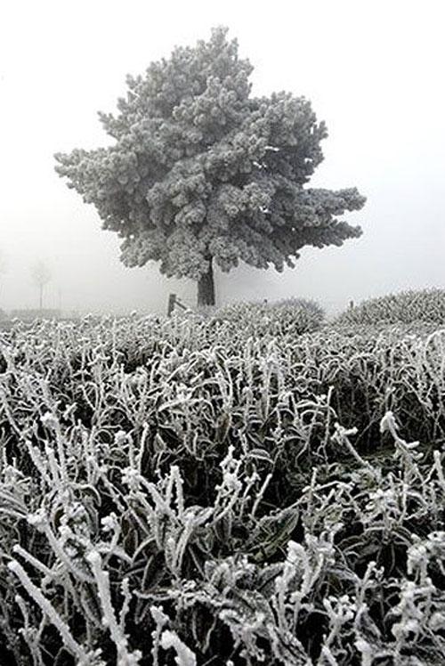 Лучшие фотографии 2007 года глазами блоггеров: часть 2