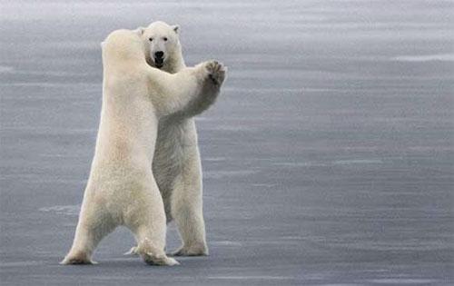 Лучшие фотографии 2007 года глазами блоггеров: часть 2