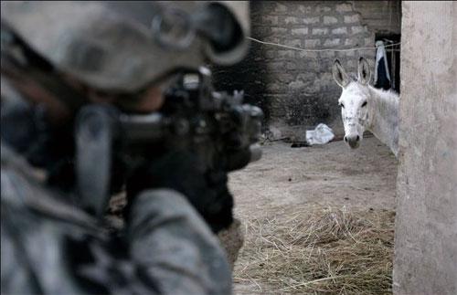 Лучшие фотографии 2007 года глазами блоггеров: часть 2