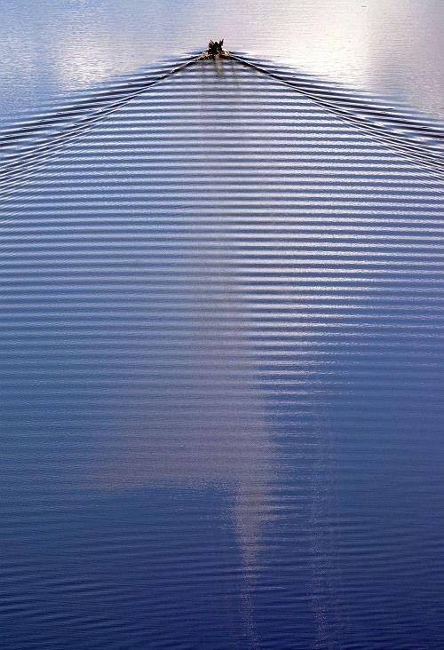 Лучшие фотографии 2007 года глазами блоггеров: часть 2