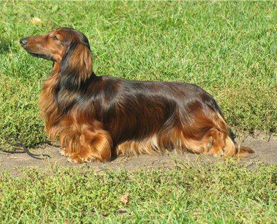 Знаменитости, которых мы потеряли в 2010 году