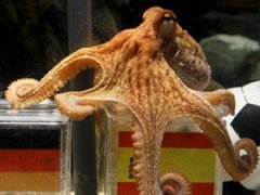 Знаменитости, которых мы потеряли в 2010 году