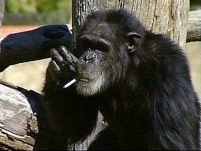 Знаменитости, которых мы потеряли в 2010 году