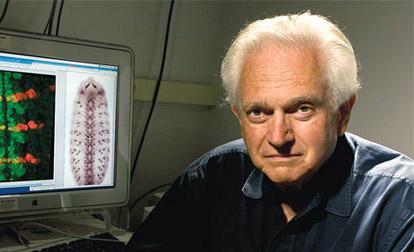 Знаменитости, которых мы потеряли в 2010 году