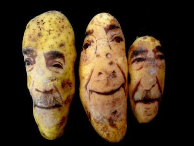 Картофельные портреты пугают человечностью