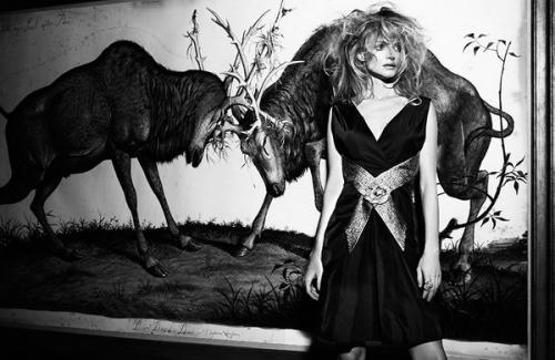 Звезды в объективе знаменитого певца Брайана Адамса