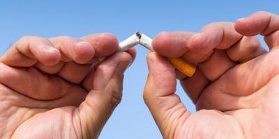 Самые неожиданные вещи, которые приобретали люди по почте в начале 20 века