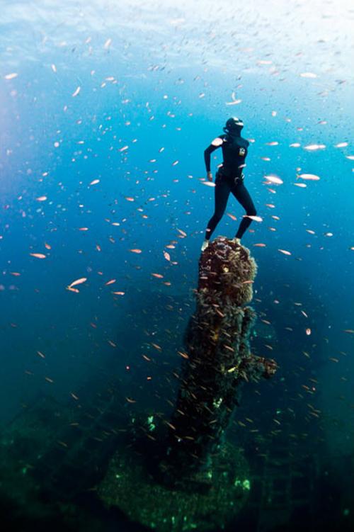 Экстремальная девушка позабавилась  с акулами