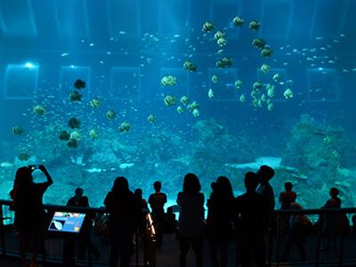 В Сингапуре открылся самый большой в мире океанариум