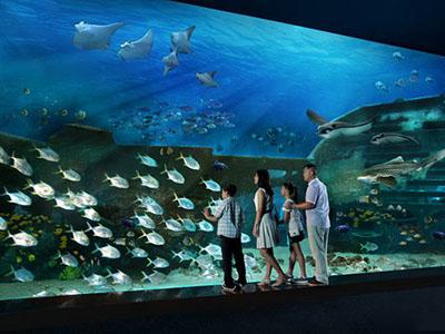 В Сингапуре открылся самый большой в мире океанариум
