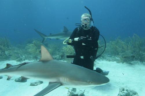 Страх за деньги: жертвы аттракционов с животными