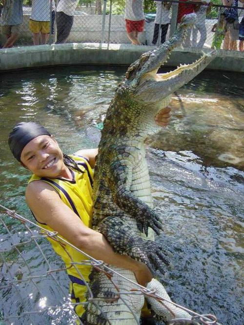 Страх за деньги: жертвы аттракционов с животными