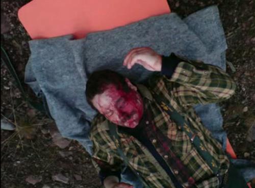 Страх за деньги: жертвы аттракционов с животными