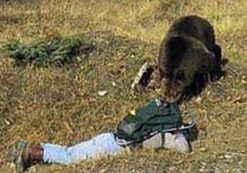 Страх за деньги: жертвы аттракционов с животными