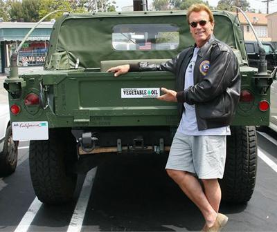 Что коллекционируют звезды?