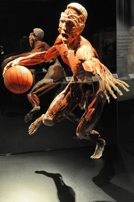 Франкенштейн объявился в Сингапуре