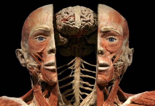 Франкенштейн объявился в Сингапуре