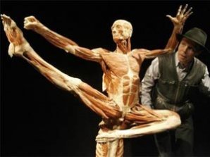 Франкенштейн объявился в Сингапуре