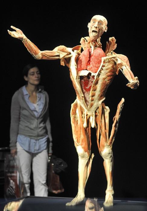 Франкенштейн объявился в Сингапуре