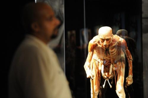 Франкенштейн объявился в Сингапуре