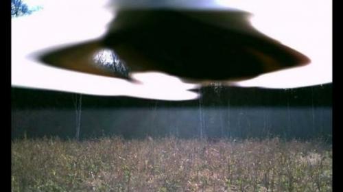 15 страшных фото, сделанных автоматическими камерами