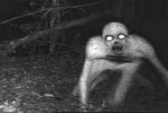 15 страшных фото, сделанных автоматическими камерами