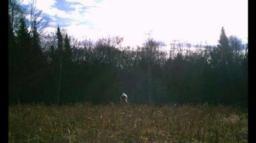 15 страшных фото, сделанных автоматическими камерами