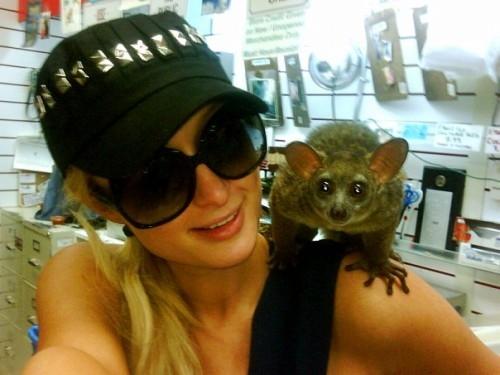 Частная жизнь Пэрис Хилтон