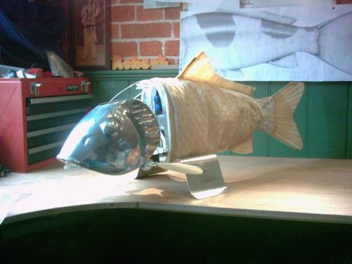 Рыба-робот не попадется на крючок